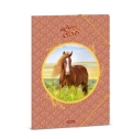 Папка с ластик A4 - ARS UNA - My Sweet Horse (5358) 24 1